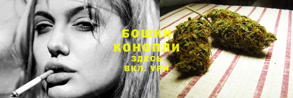 МДПВ Ельня