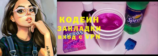 тгк Дмитриев