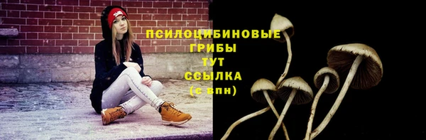 кокс Дмитров