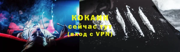 тгк Дмитриев