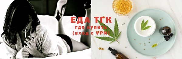 МДПВ Ельня
