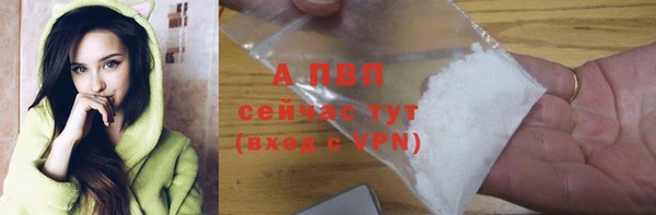 тгк Дмитриев