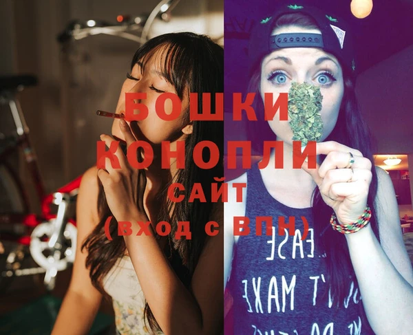тгк Дмитриев