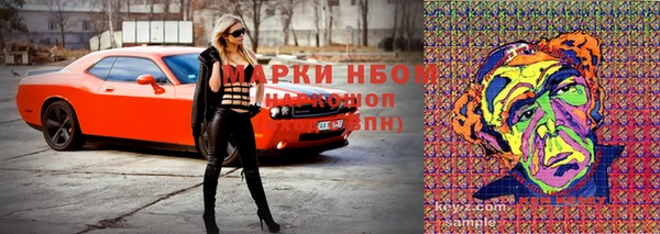 кокс Дмитров