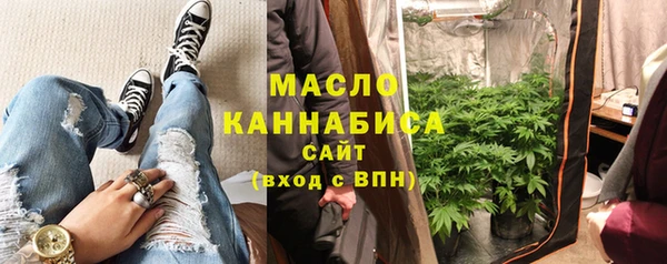 тгк Дмитриев