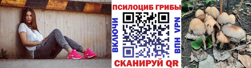 Псилоцибиновые грибы прущие грибы  где купить наркотик  Инта 